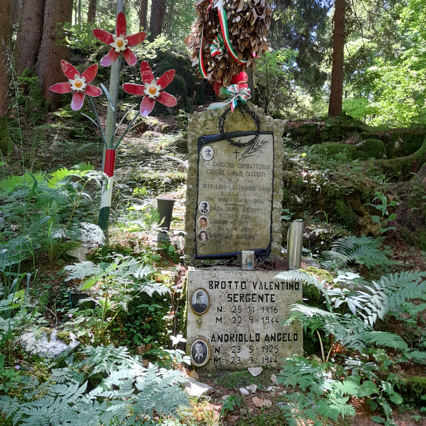 Foto 8