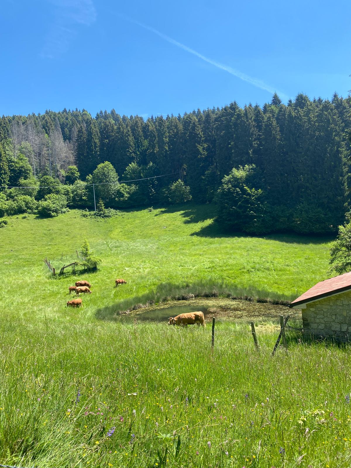 Il Grappa – paesaggio della memoria